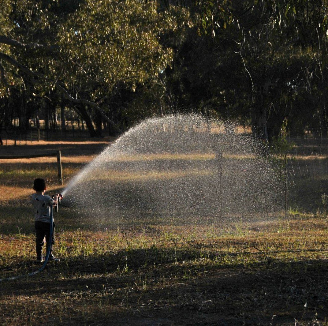 Branch - Hose Nozzle