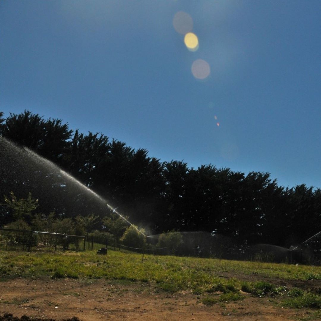 Sprinkler with Stand - Individual
