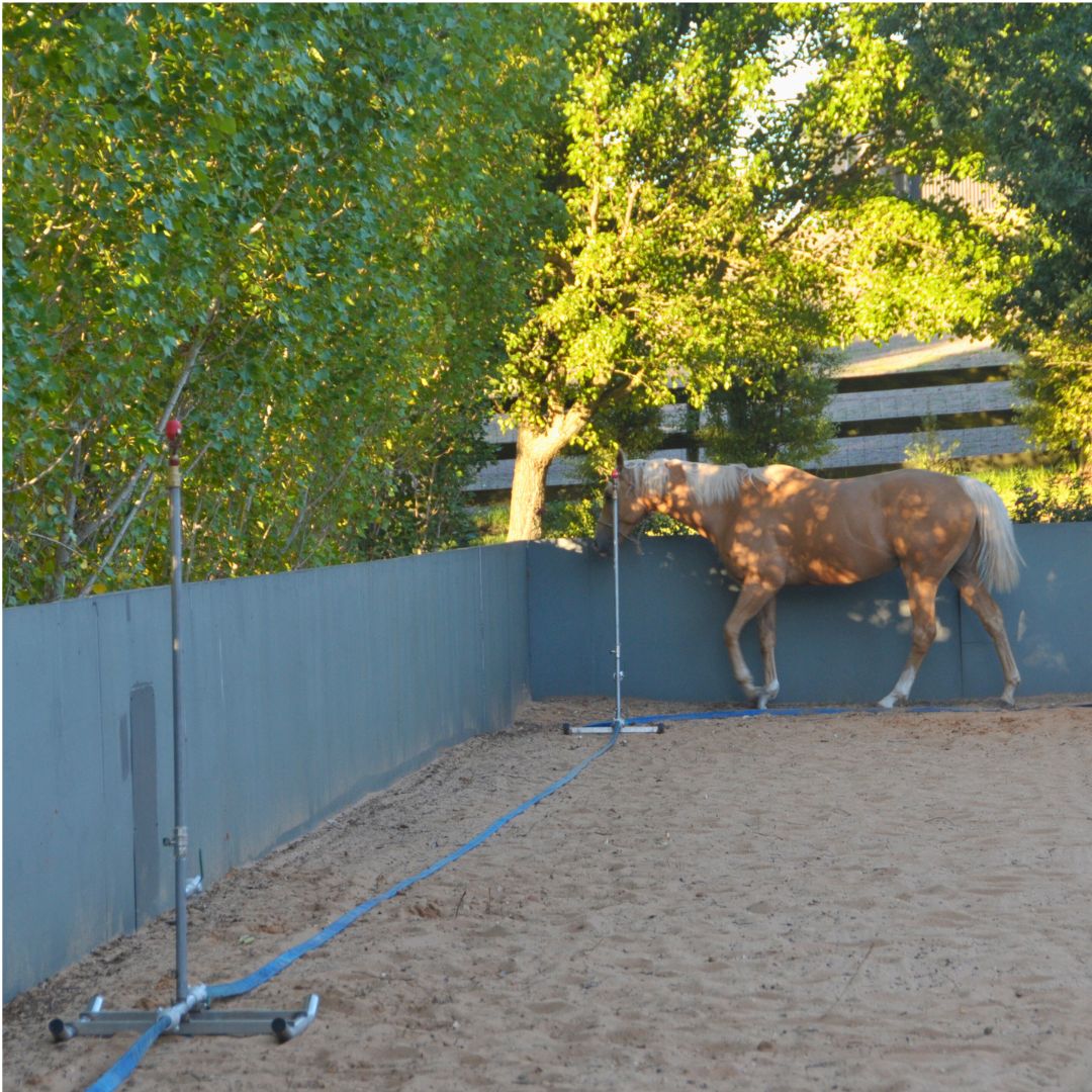 Sprinkler with Stand - Individual